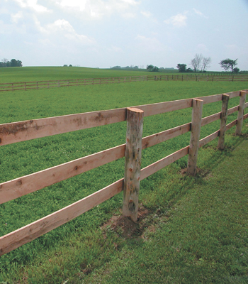 Board Horse Fence